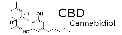 marijuana-dispensaries-tricann-alternatives-in-berwick-cbd