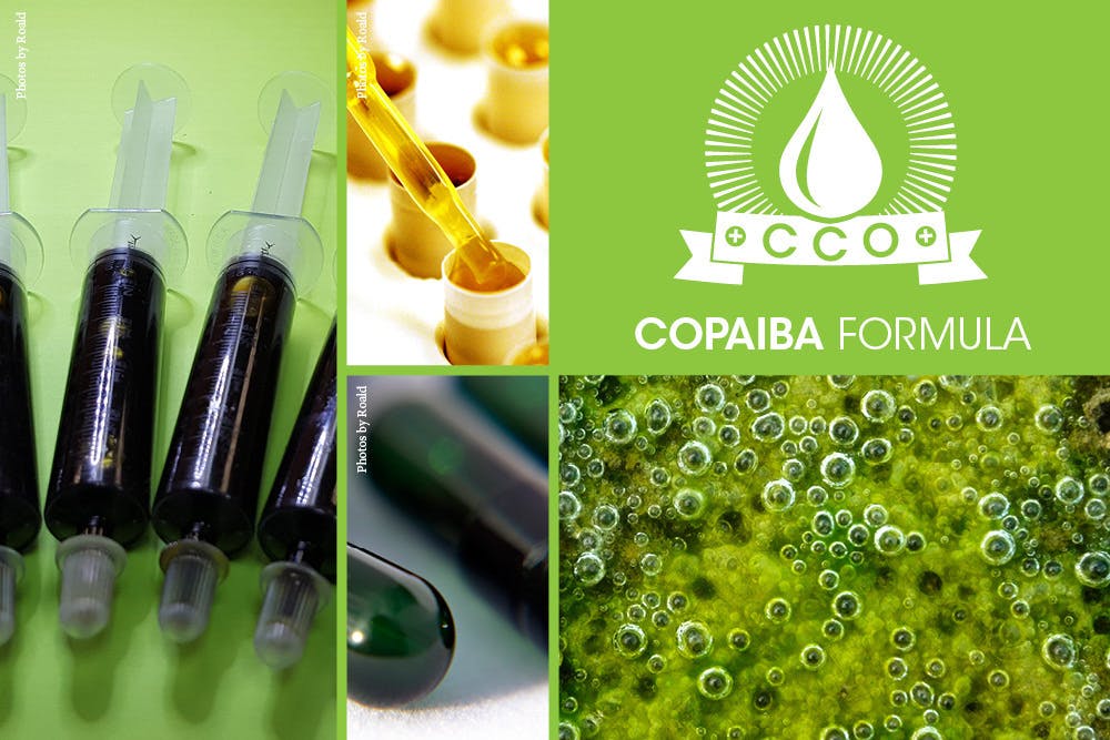 concentrate-cco-canna-caps-copaiba-various-strengths