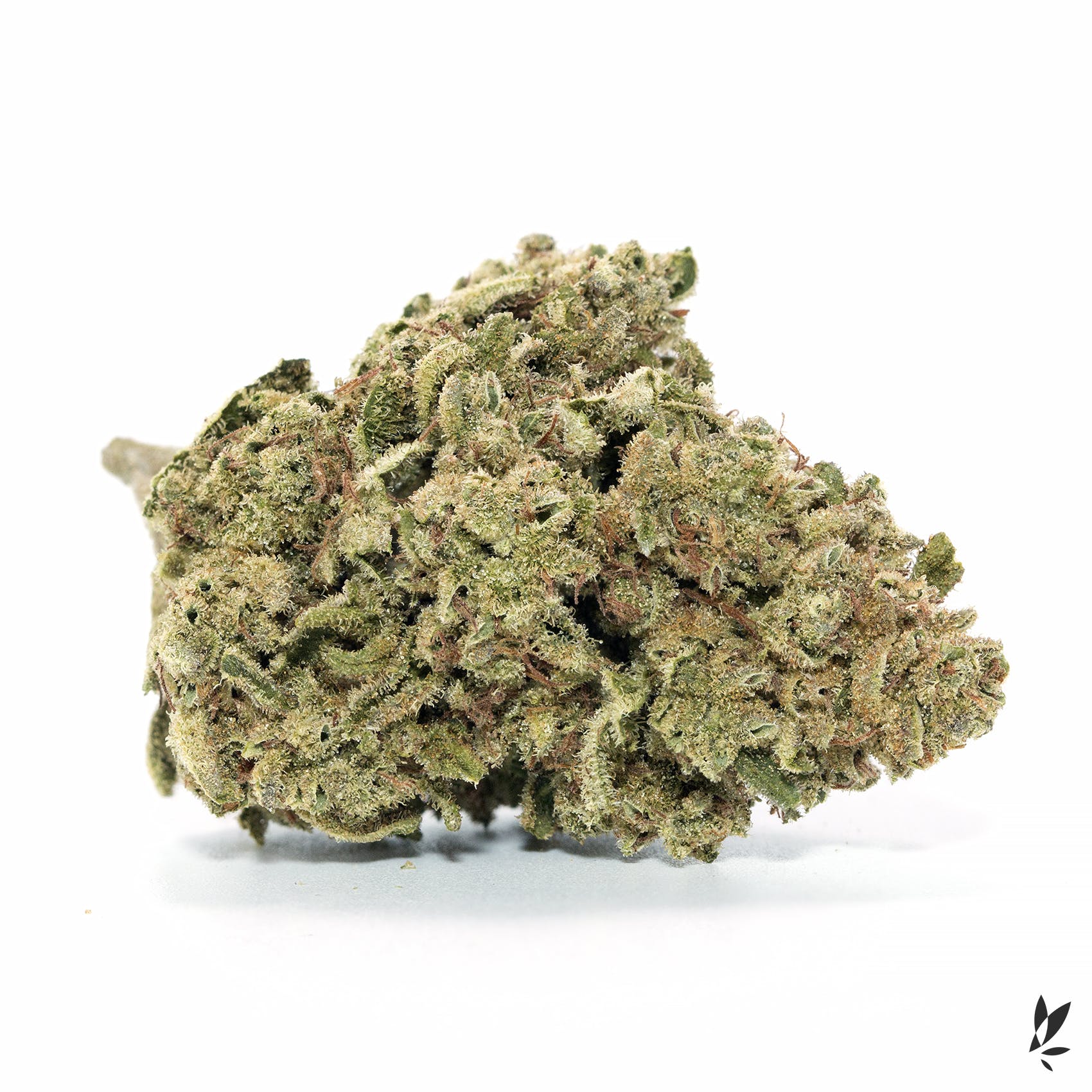 marijuana-dispensaries-iguana-collective-in-cathedral-city-champagne