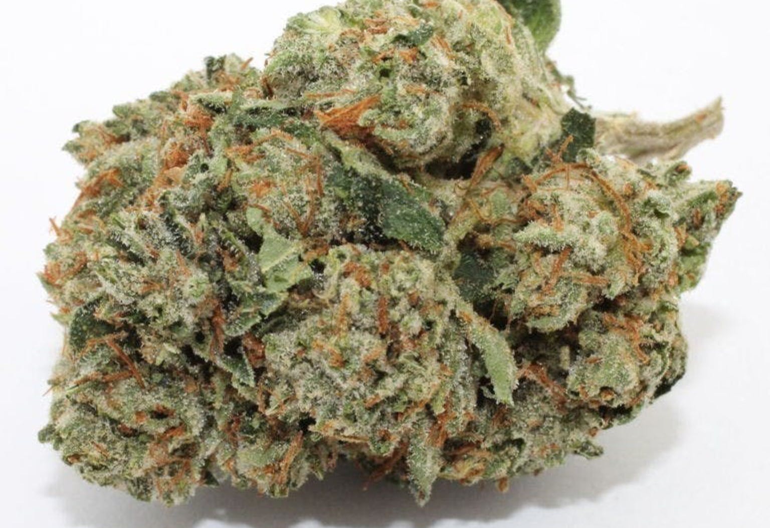 marijuana-dispensaries-7520-foothill-blvd-tujunga-charlie-sheen-5g-40-45
