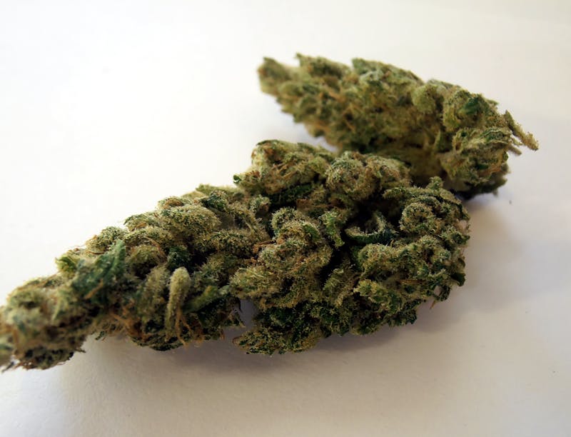 marijuana-dispensaries-tricann-alternatives-in-berwick-charlottes-web