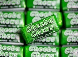 Cheeba Chew Hybrid | Deep Roots