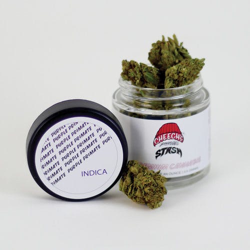 marijuana-dispensaries-1716-main-st-venice-cheechs-private-stash-purple-primate