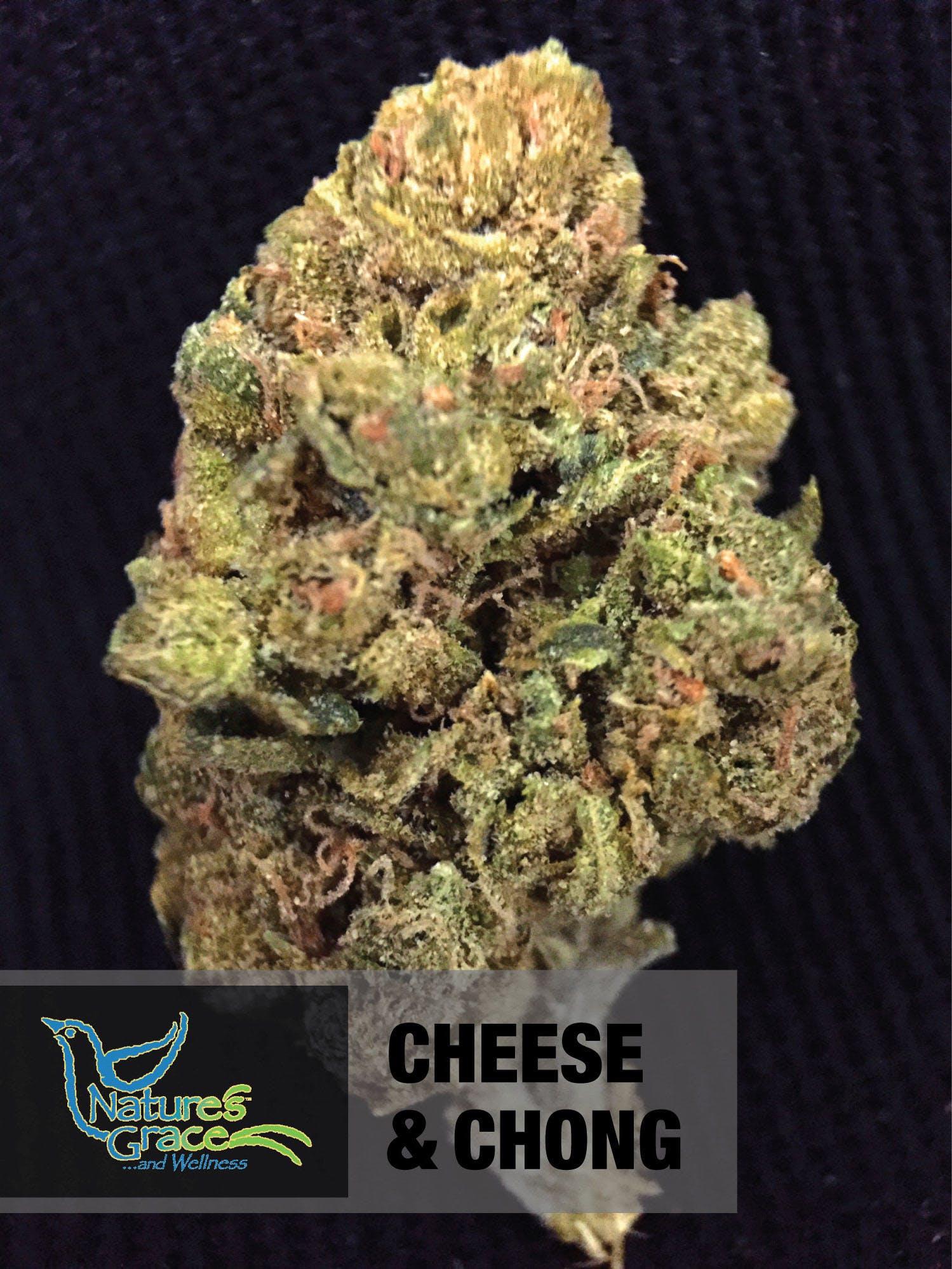 hybrid-cheese-and-chong-natures-grace