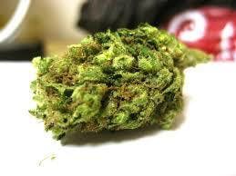 marijuana-dispensaries-4845-van-gordon-st-wheat-ridge-cheese-quake-popcorn-buds-tax-included