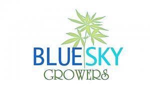 Cheese Quake Wax - Blue Sky Growers