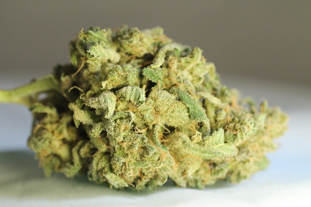 marijuana-dispensaries-starbuds-nw-denver-in-denver-cheese-quake