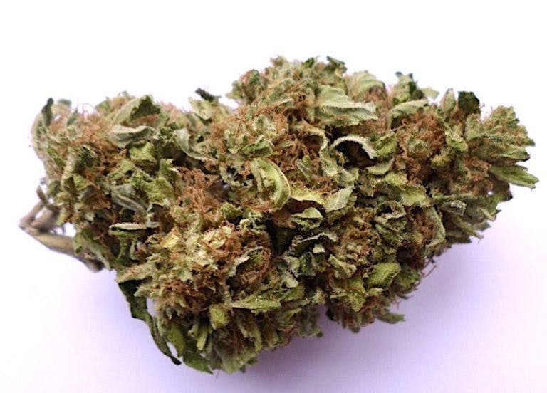 marijuana-dispensaries-pacific-cannabis-company-in-bremerton-cheese