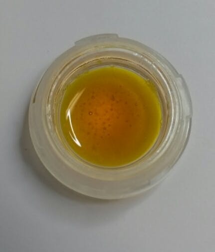 concentrate-cheezl-by-opus-nectar