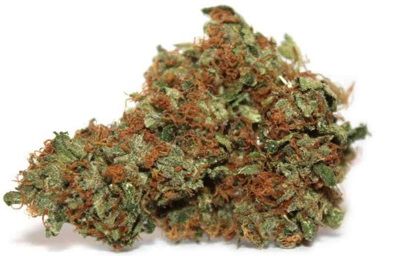 marijuana-dispensaries-garden-remedies-melrose-in-melrose-chem-234
