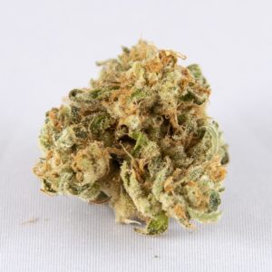 'Chem Dawg' by Grassroots