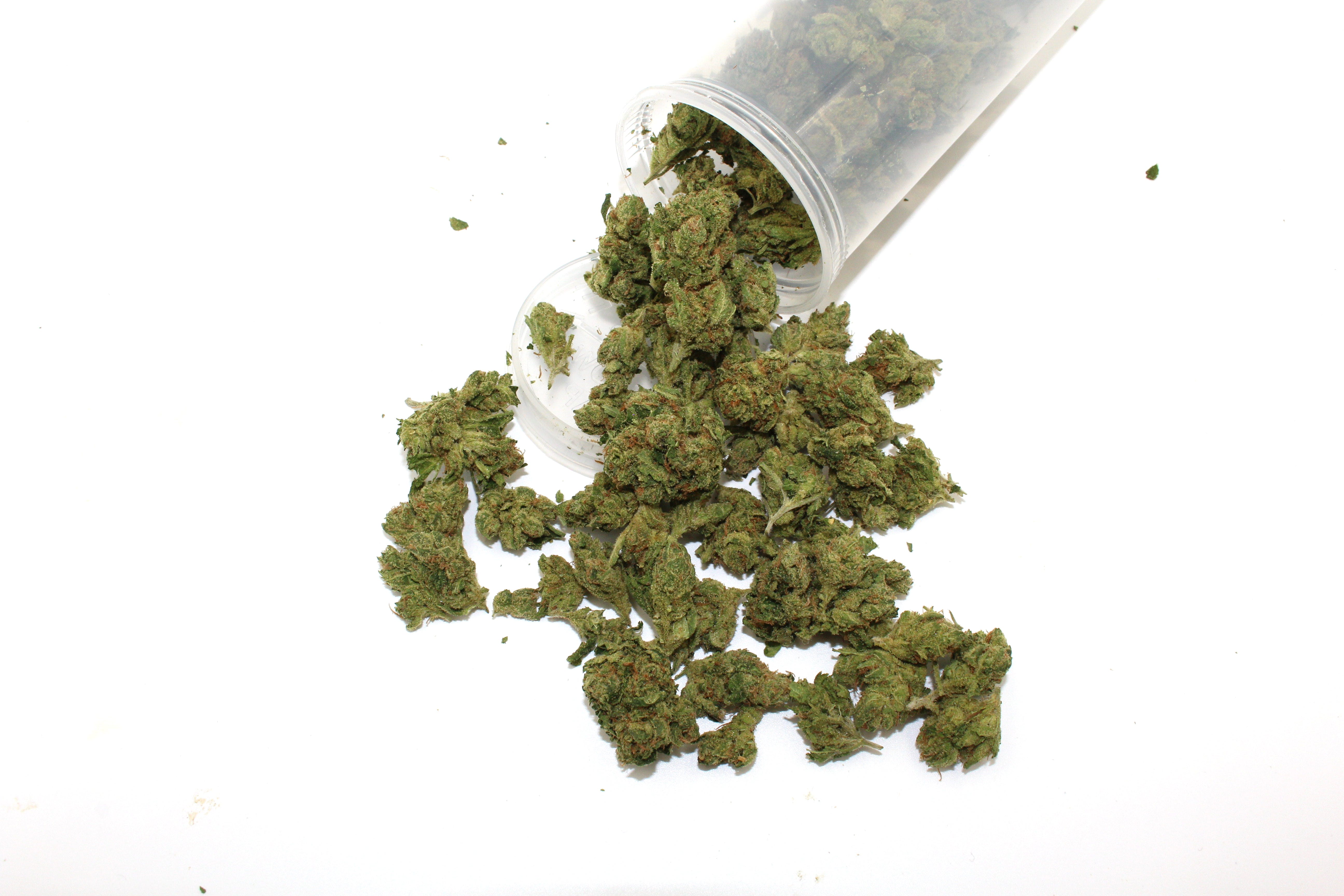 marijuana-dispensaries-24905-n-7th-ave-phoenix-chemdawg-233-popcorn-nugs