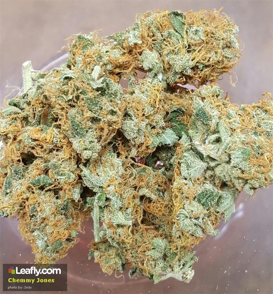 marijuana-dispensaries-high-q-in-silt-chemmy-jones