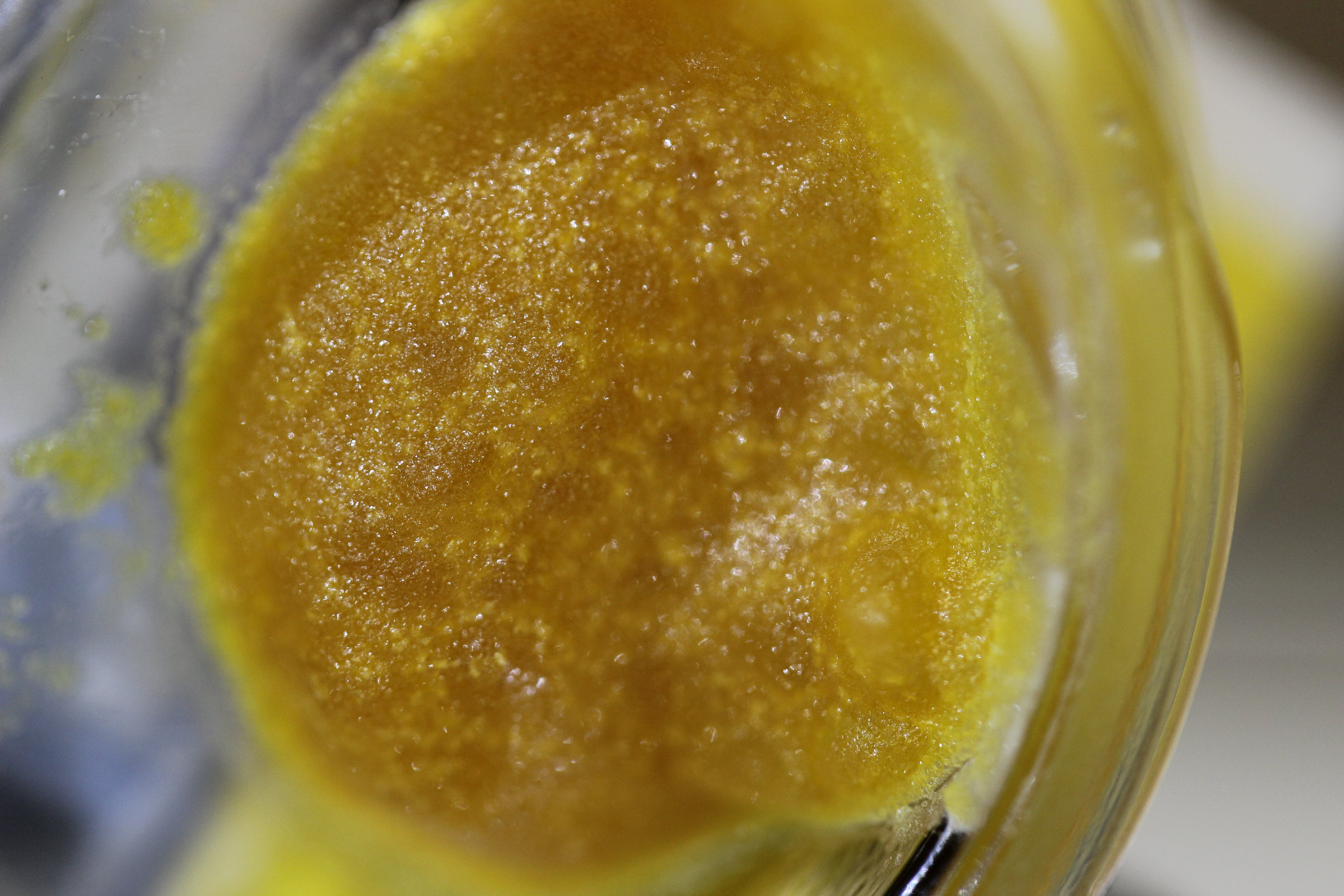 concentrate-chernobyl-live-budder-famous-xtracts