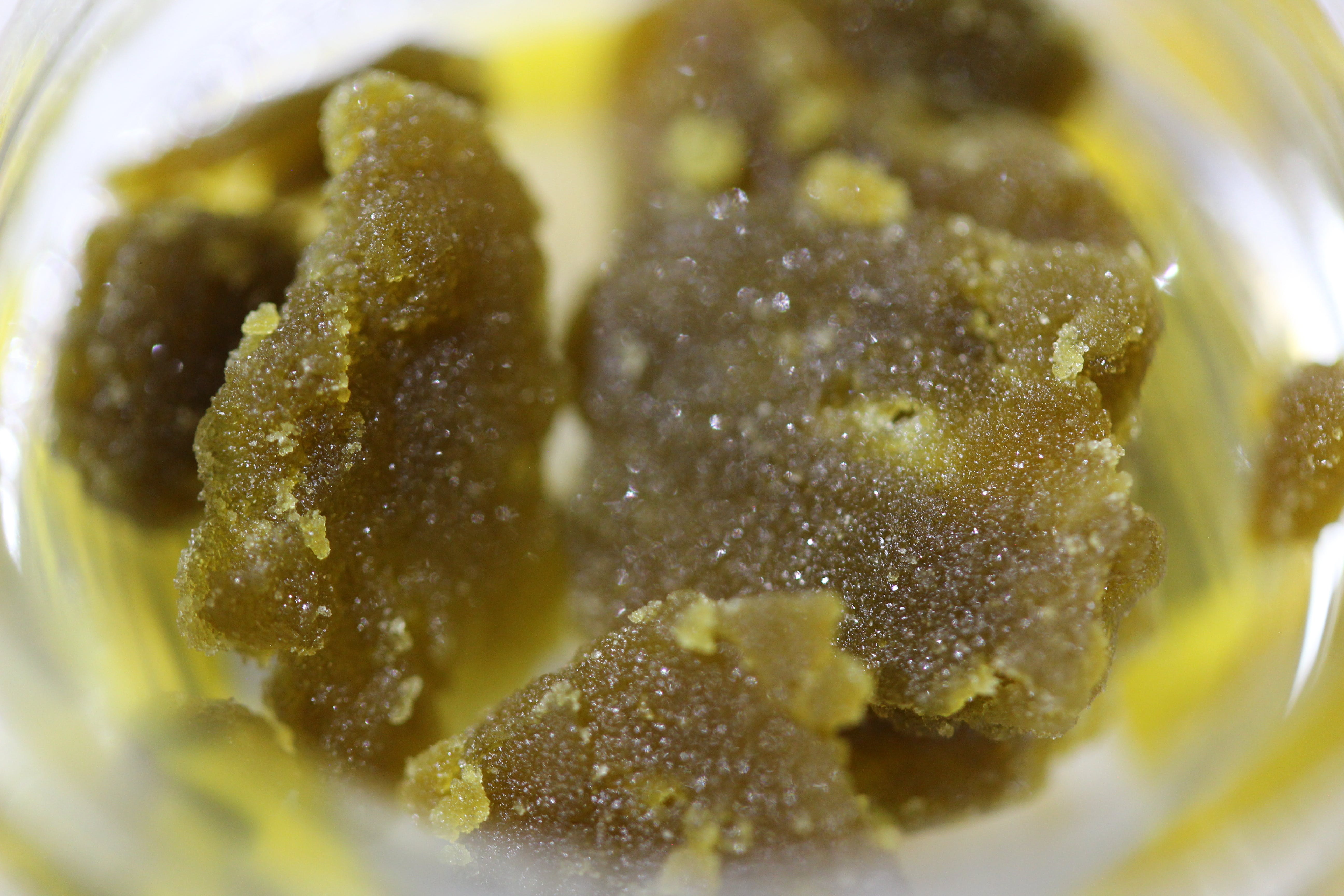 concentrate-chernobyl-sugar-wax-famous-xtracts