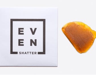 Cherry Chai (S) BHO Shatter | EVEN • 8|Fold