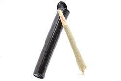 Cherry Pineapple (H) Made In House Pre-Roll | BaM
