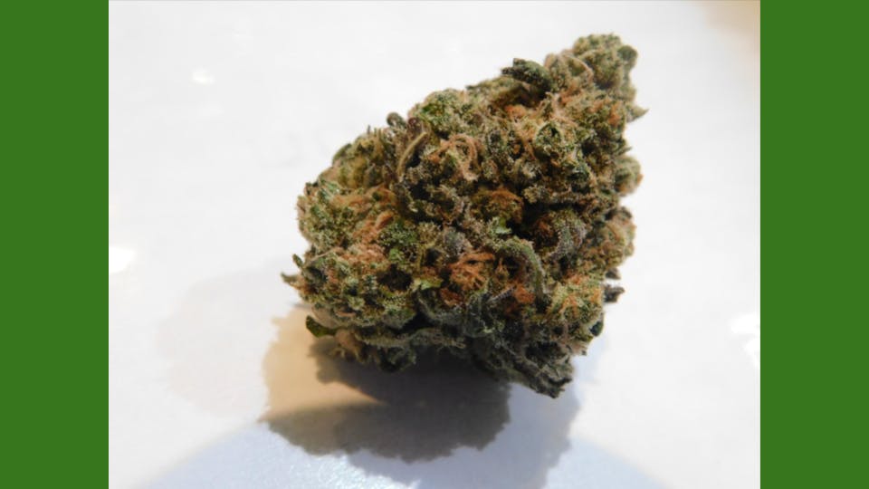 marijuana-dispensaries-6464-e-tanque-verde-rd-tucson-chewbacca-h-s
