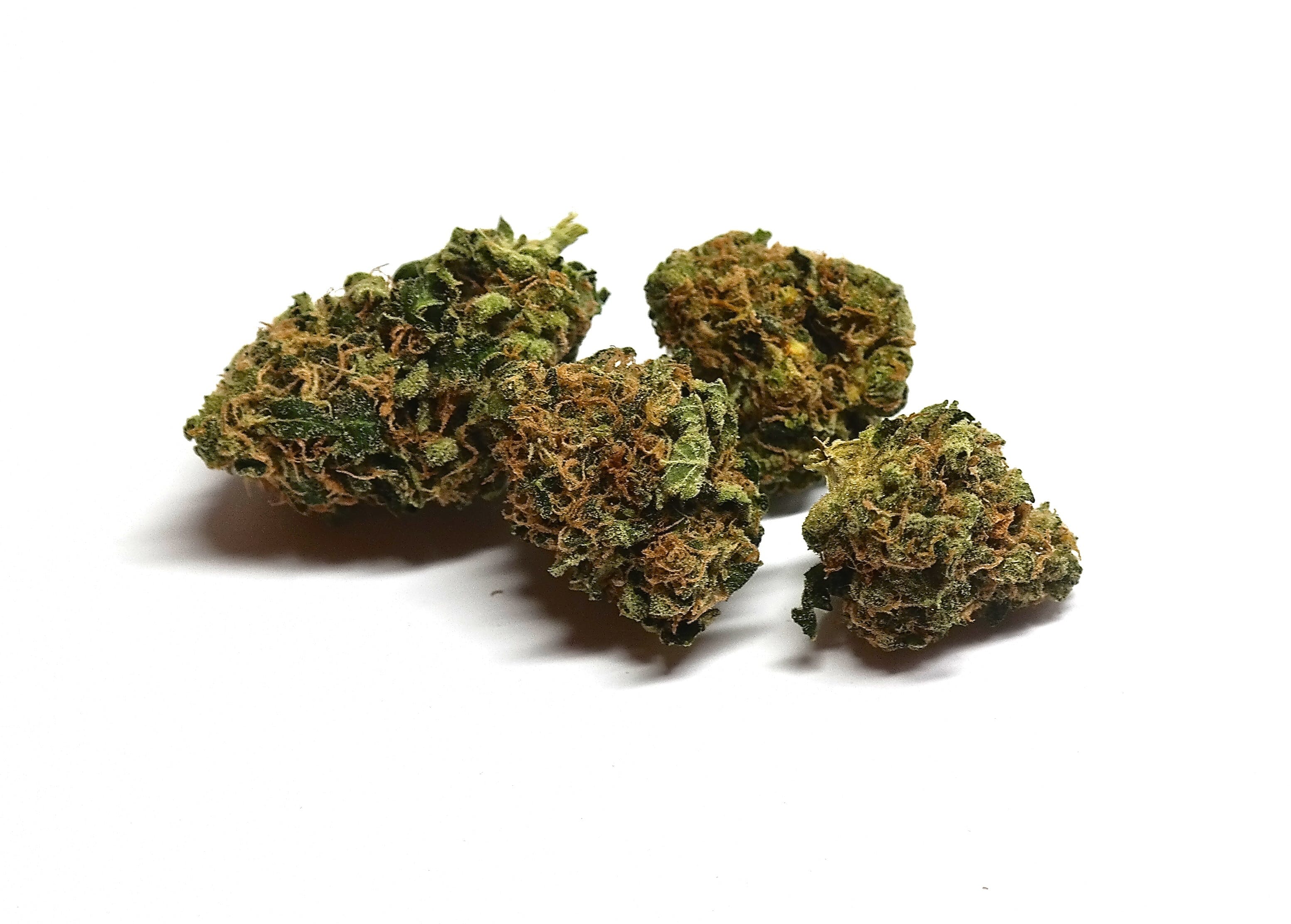 marijuana-dispensaries-tweedleaf-colorado-in-colorado-springs-chewbacca-sativa-hybrid