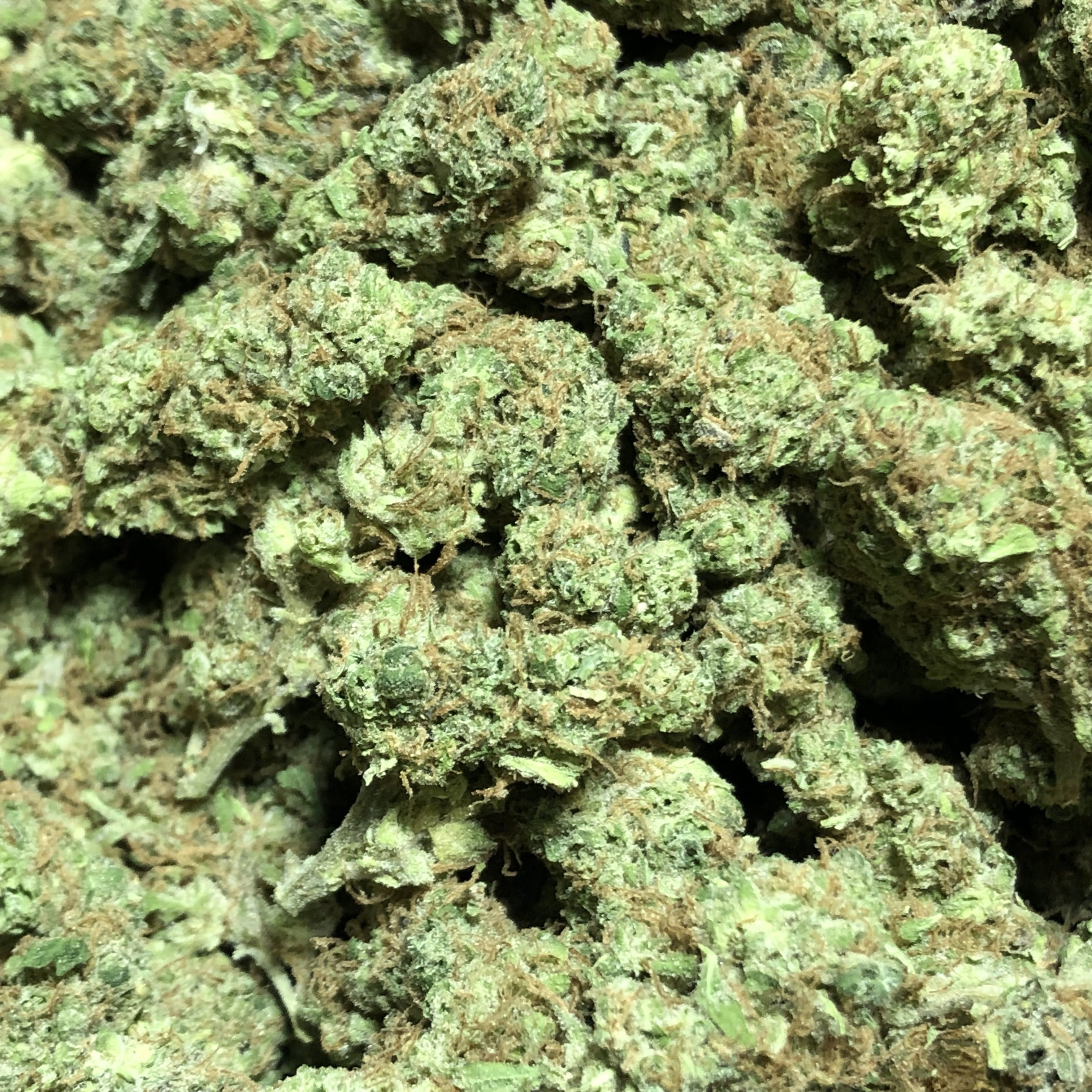 marijuana-dispensaries-green-plus-in-oklahoma-city-chiesel