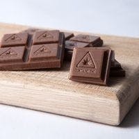 Chocolate Bar - Milk - 50MG