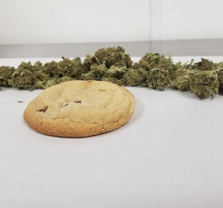 marijuana-dispensaries-mary-janea-c2-80-c2-99s-treehouse-in-tulsa-chocolate-chip-cookie-10mg