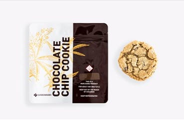 Chocolate Chip Cookie (1pk) (EGO)