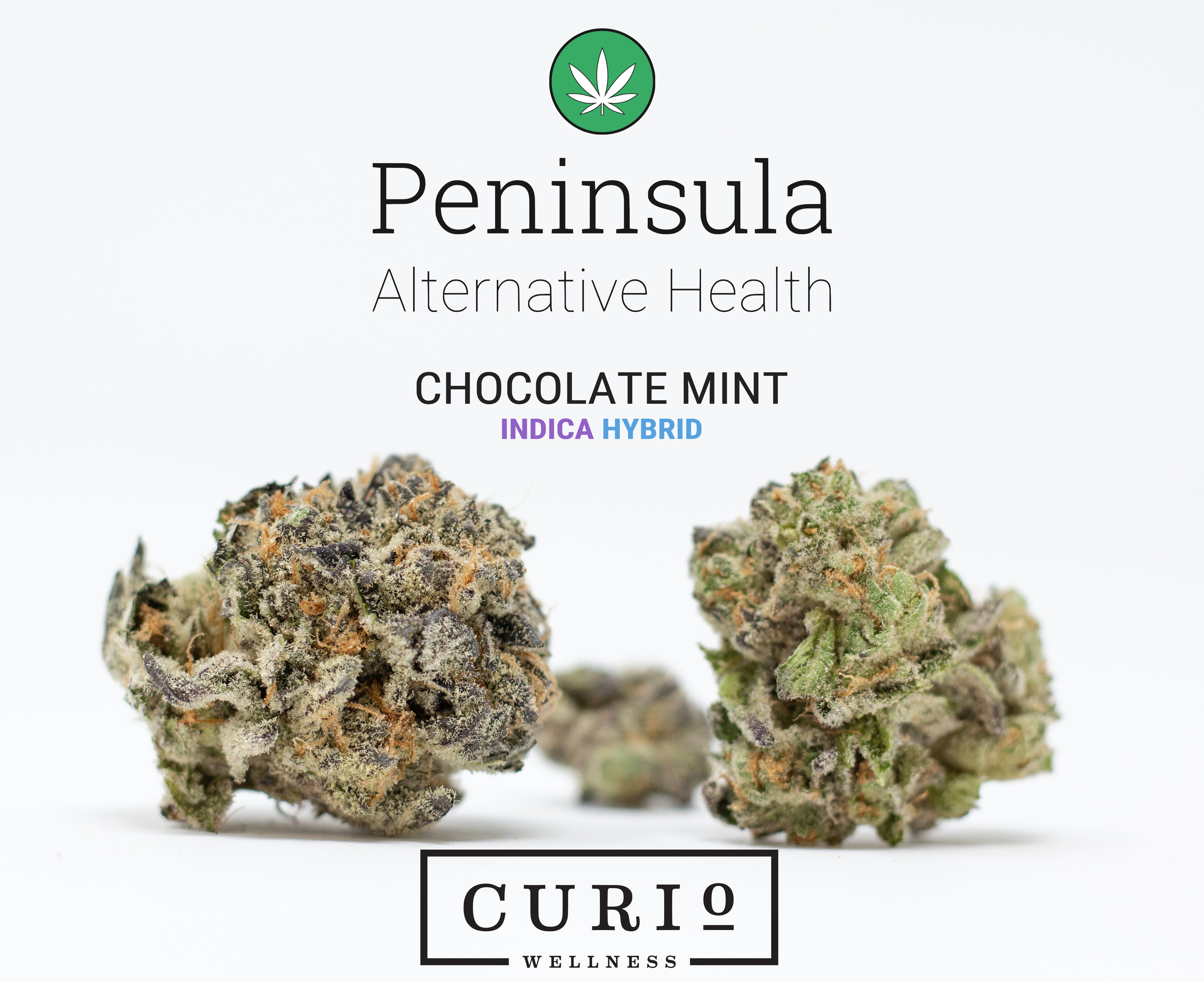 marijuana-dispensaries-peninsula-alternative-health-in-salisbury-chocolate-mint-by-curio-wellness