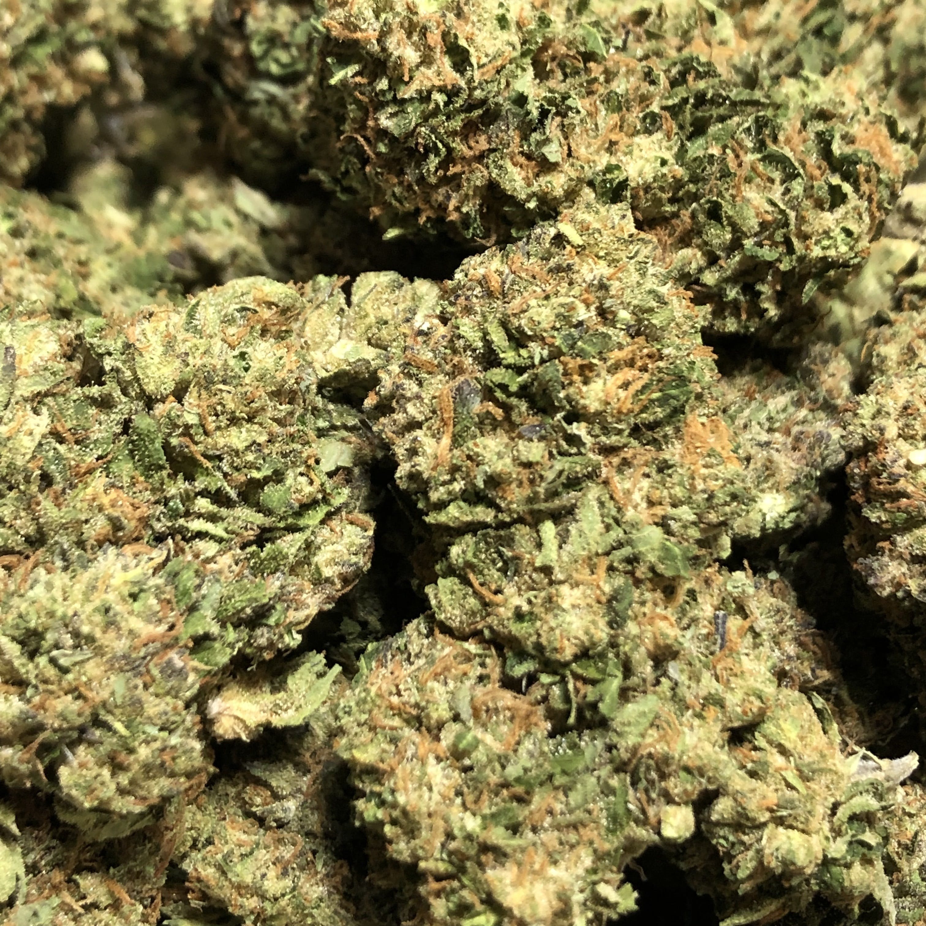 marijuana-dispensaries-8613-s-western-ave-oklahoma-city-chocolate-mint