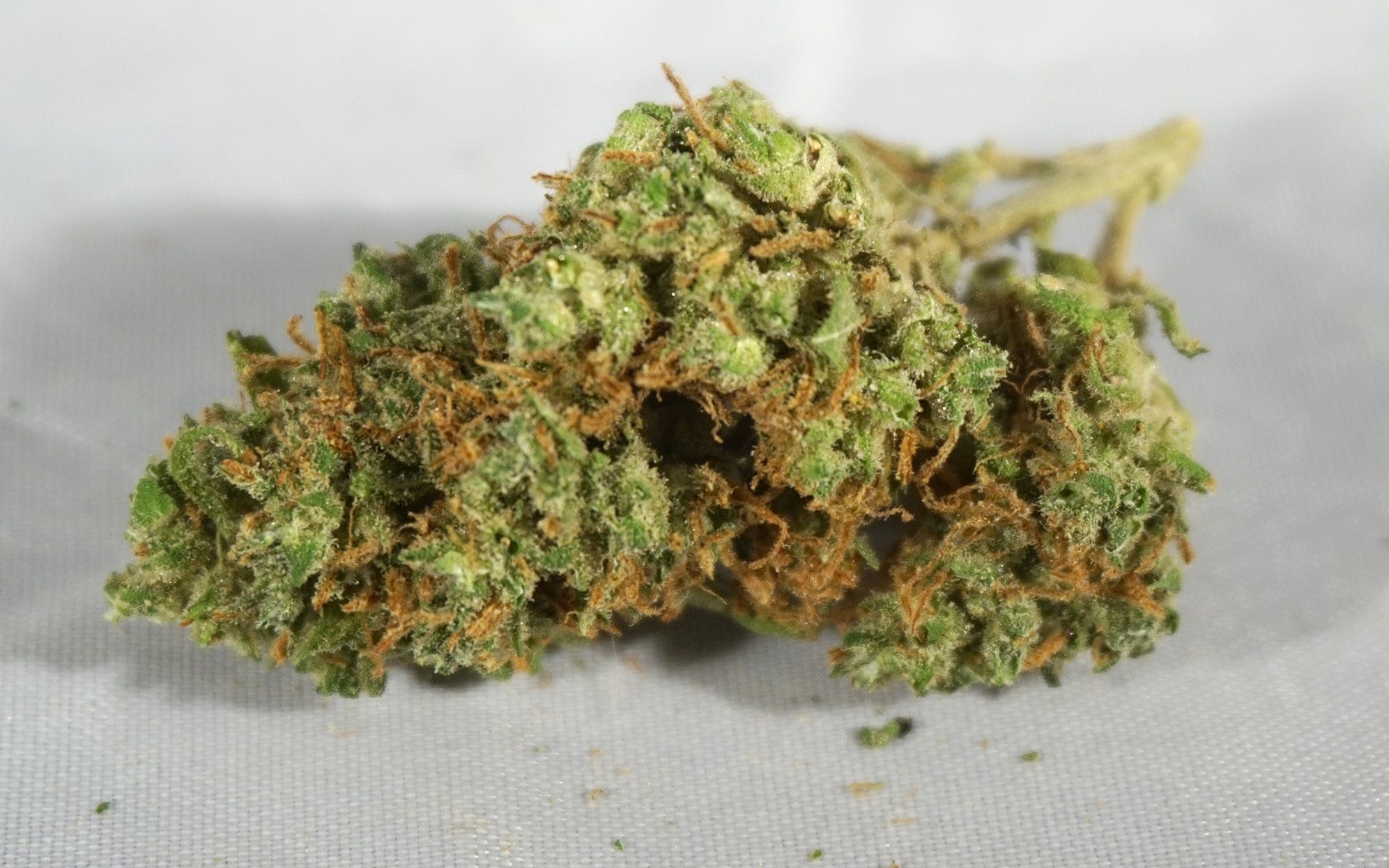 marijuana-dispensaries-5550-joliet-st-denver-christopher-wallace