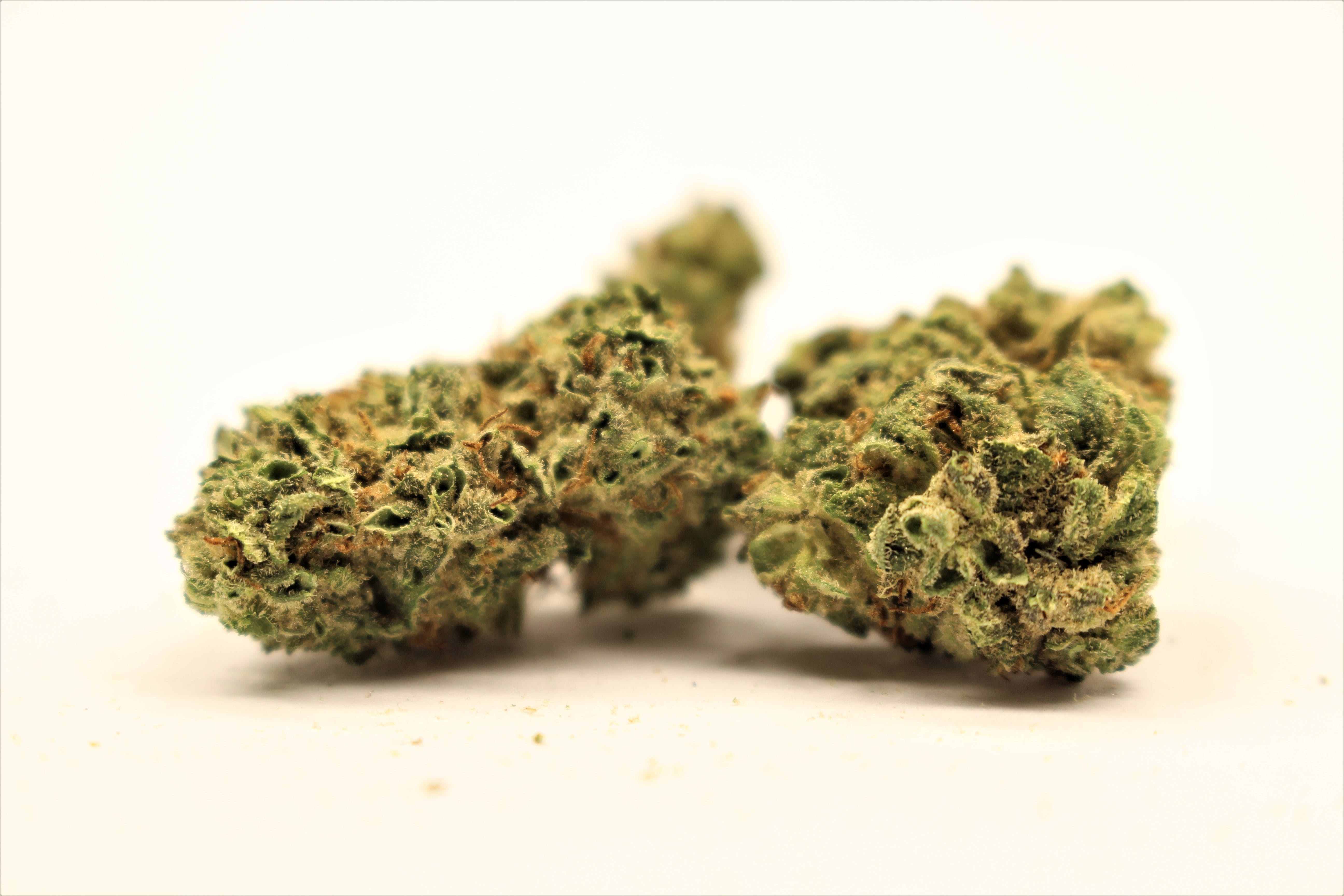 marijuana-dispensaries-green-degree-machen-in-wasilla-chronic-thunder