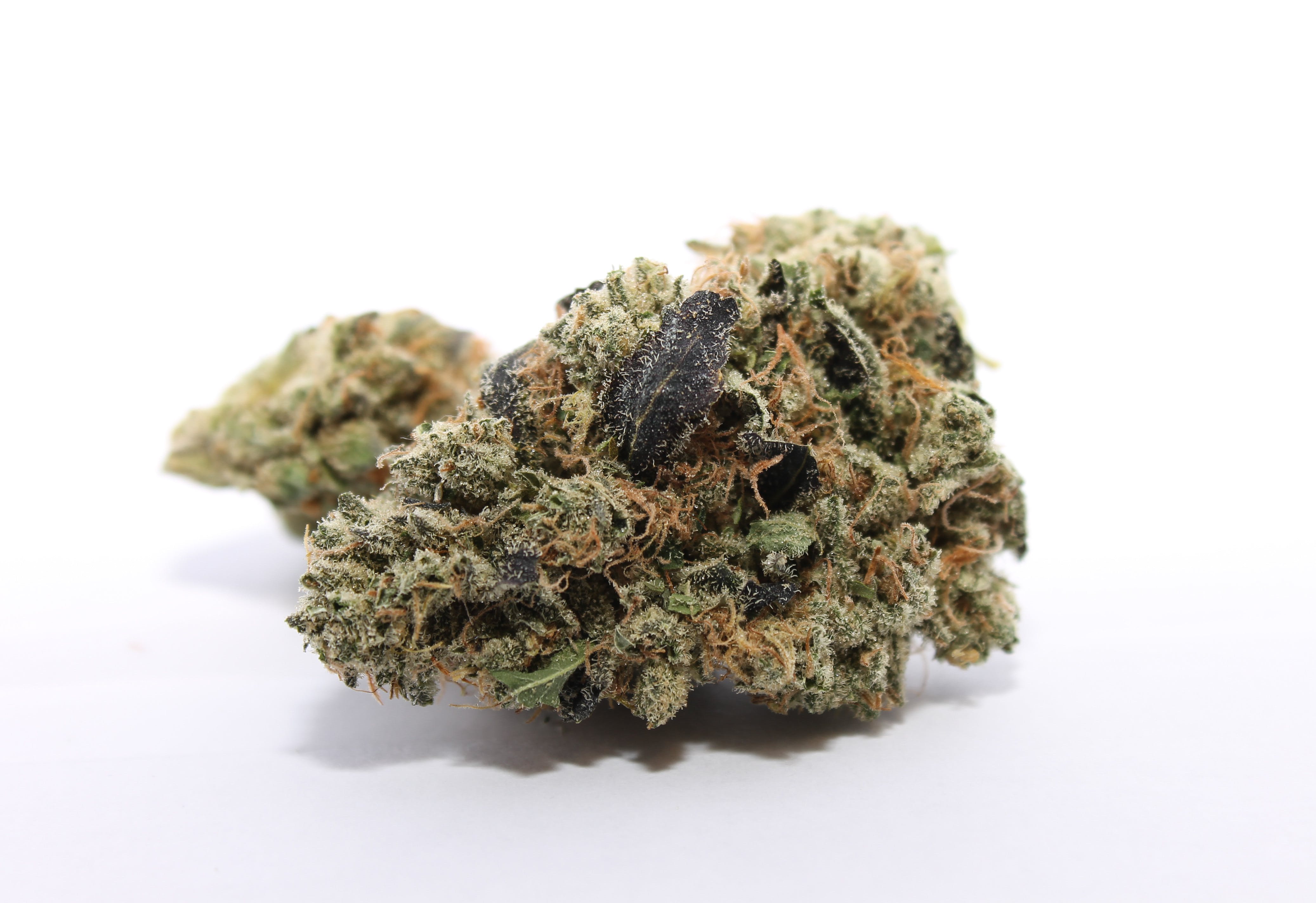 marijuana-dispensaries-425-main-st-oxford-chupacabra-85