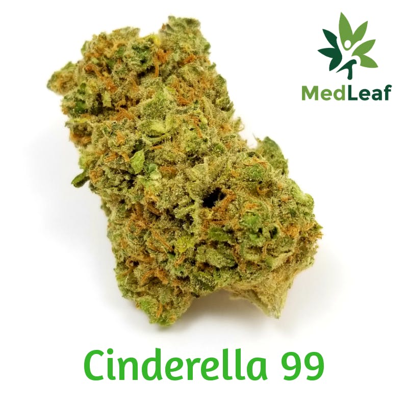 marijuana-dispensaries-9520-marlboro-pike-2c-unit-103-upper-marlboro-cinderella-99-harvest-25-35-25