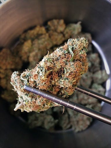 marijuana-dispensaries-your-green-thumb-in-kittery-citrique