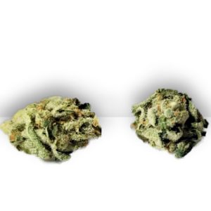 Citrix - 1/2 Ounce Popcorn Buds (Pre-Packed)