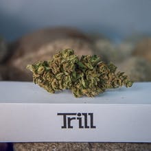 marijuana-dispensaries-1537-pearl-st-unit-b-boulder-citrix-top-shelf