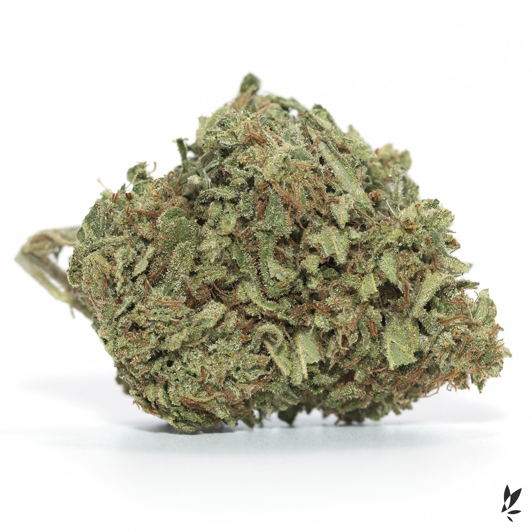 marijuana-dispensaries-royal-greens-in-los-angeles-citrus-ballistic