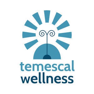 Citrus Cleaner Sap Live Resin by Temescal Wellness