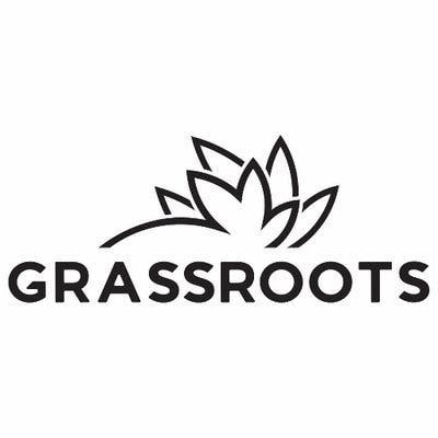 Citrus Distillate by Grassroots (Torch Disposable Pen)