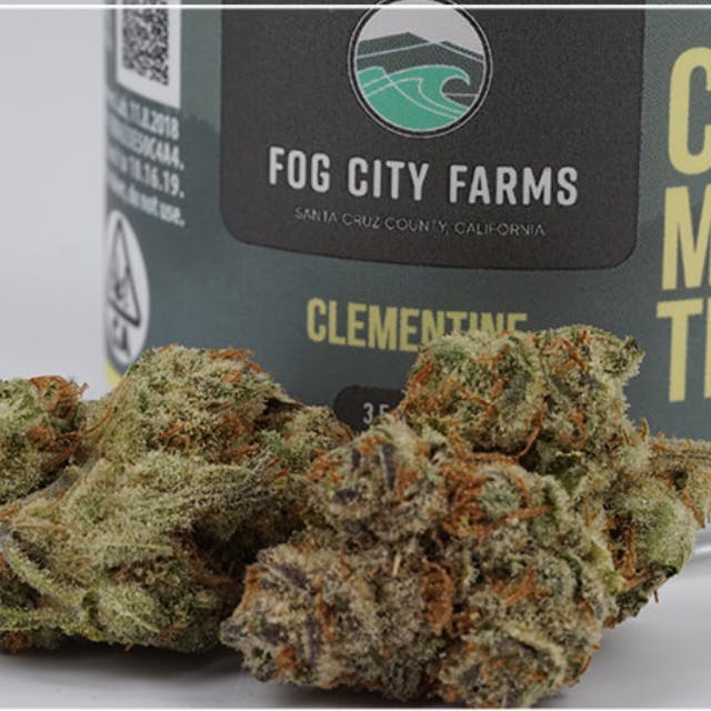 Clementine by Fog City