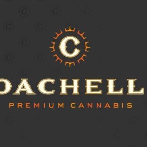 Coachella - Crumble Skunk Haze X White Light