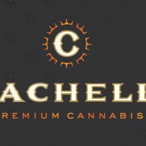 Coachella Premium Cartridge - Pineapple OG