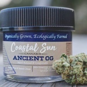 Coastal Sun- Ancient OG