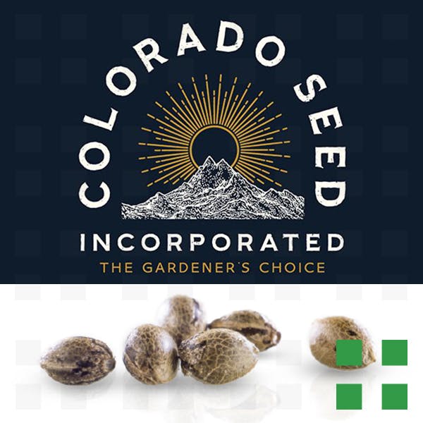 Colorado Seed Incorporated Seeds (6 Seeds)