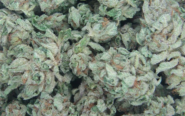 marijuana-dispensaries-4800-lamar-street-wheat-ridge-confucius-kush