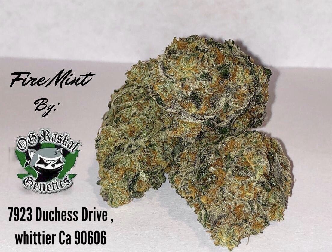 marijuana-dispensaries-7923-duchess-drive-whittier-connoisseur-fire-mint-by-og-raskal