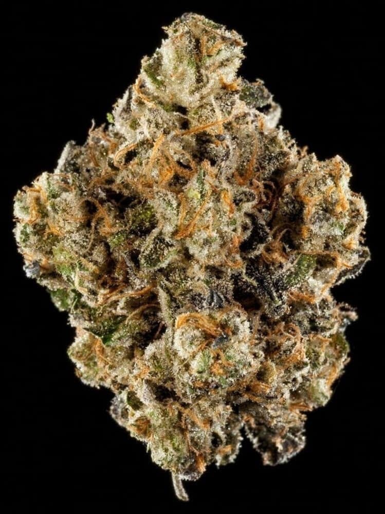 marijuana-dispensaries-7923-duchess-drive-whittier-connoisseur-kannaking-og-by-kannaking-farms
