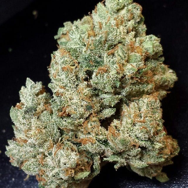 marijuana-dispensaries-7923-duchess-drive-whittier-connoisseur-mango-cookies-by-pearl-pharma