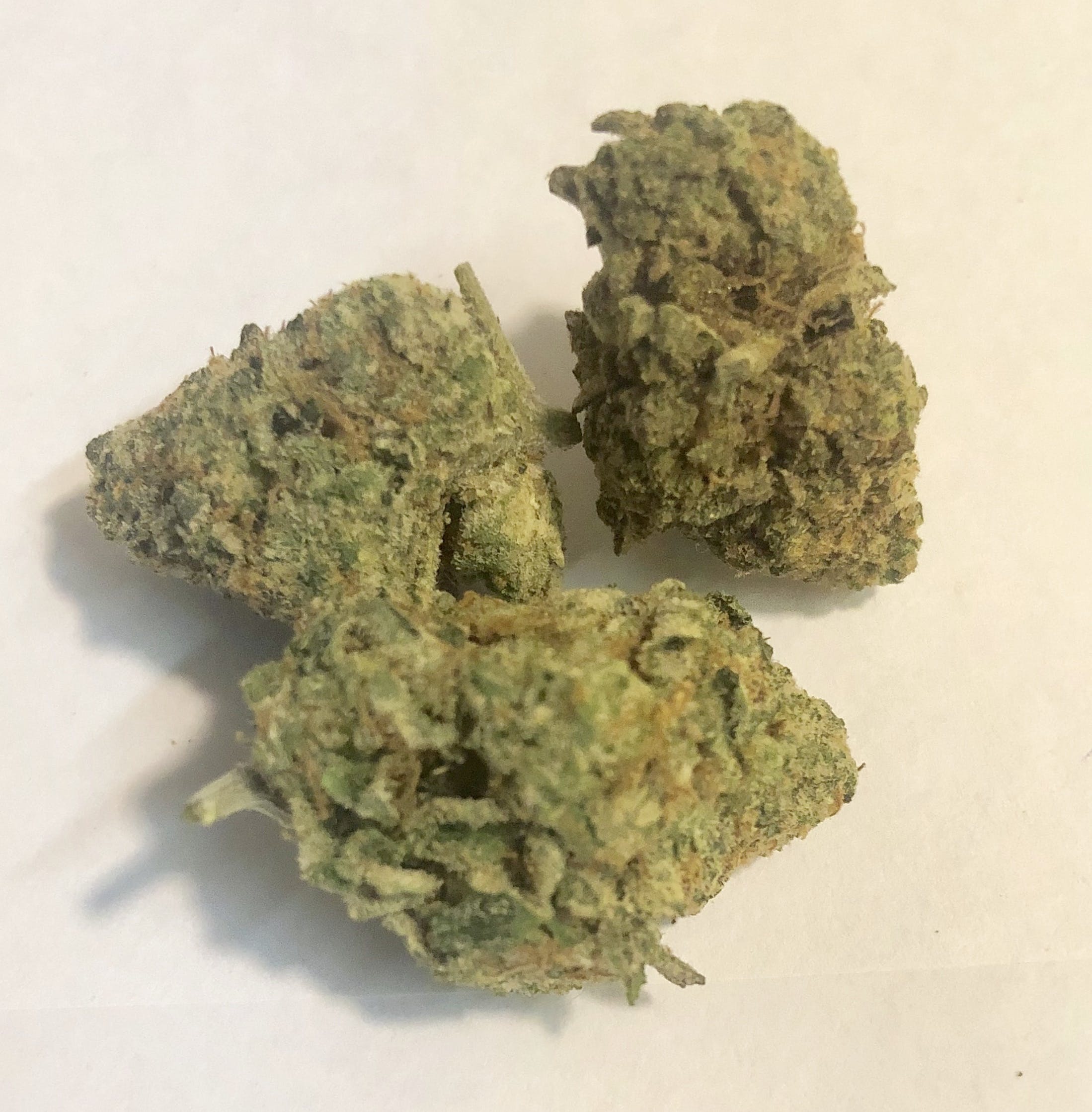 marijuana-dispensaries-comfort-care-cannabis-company-in-bearcreek-cookie-glue