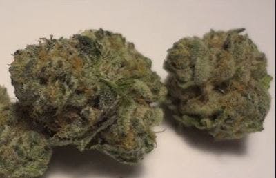marijuana-dispensaries-dtpg-in-los-angeles-cookie-jar